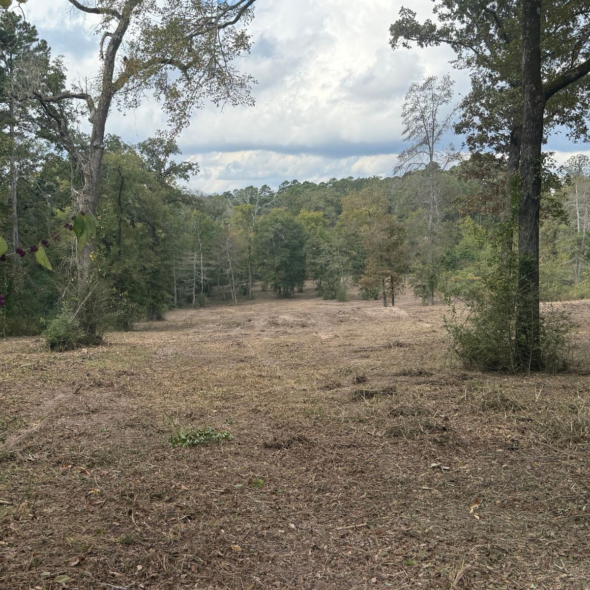 forestry mulching job completed in Tyler, Texas