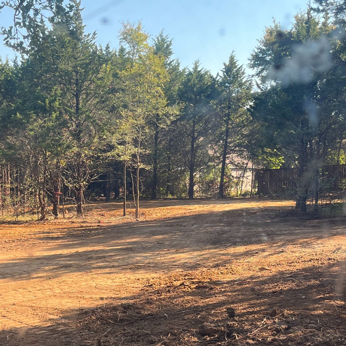 clearing a lot at Lake Texoma near Sherman, Texas