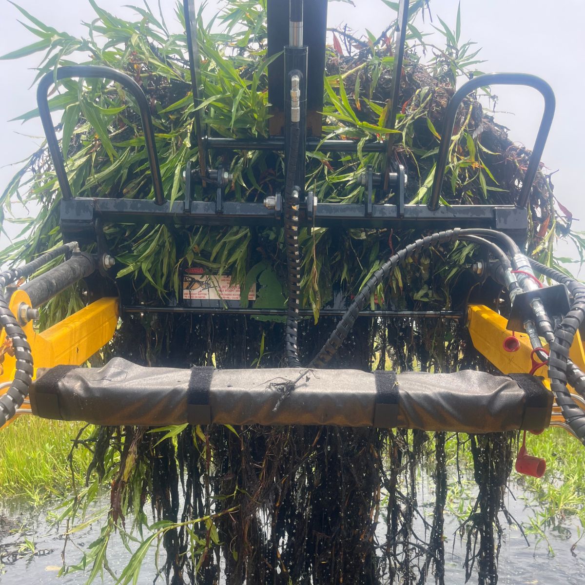 closeup of Weedoo boat grapple bucket scooping huge load of cattails and weeds by the root