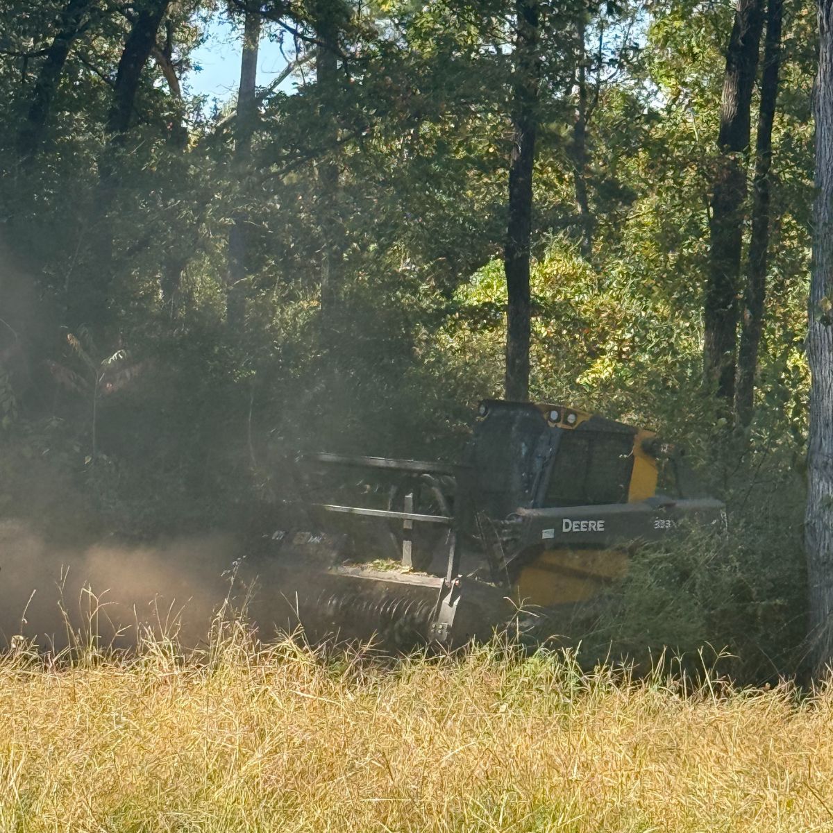 skidsteer and mulcher shown forestry mulching in Tyler, Texas